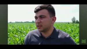 Про якість Grossdorf на полі