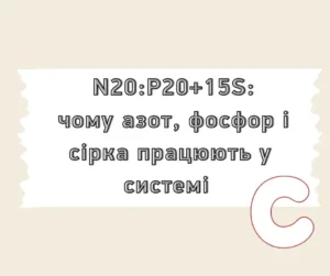 Сульфоамофос: чому азот, фосфор і сірка працюють у системі