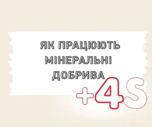 Як працюють мінеральні добрива?
