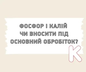 Фосфор і калій: чи варто вносити під основний обробіток ґрунту?