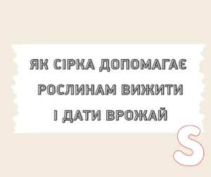 Як сірка допомагає рослинам вижити та дати врожай