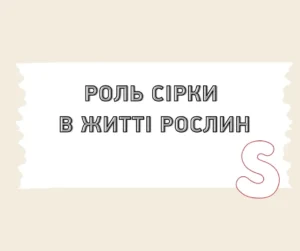 Чому азот «згоряє» даремно без сірки: розбираємо фізіологію живлення